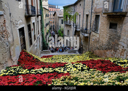 Display floreali lungo i passaggi nel centro storico della città a Girona international flower show 2017. named temps de flors. Foto Stock