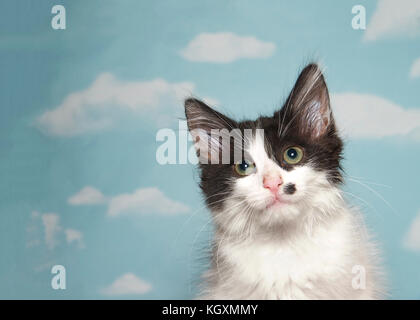 Ritratto di un bianco e nero tabby kitten guardando viewer, macchia nera sulla guancia sinistra come segno di bellezza. Sfondo blu cielo con nuvole. Spazio di copia Foto Stock