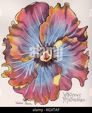 Questa illustrazione è un dipinto ad acquerello di un fiore Hisibcus Malvaceae su uno sfondo color crema. Strati di penna e inchiostro lavare e acquerello vernici crea Foto Stock