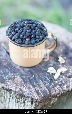 Selvaggia della Tasmania pepperberries nero in una tazza su legno rustico log Foto Stock