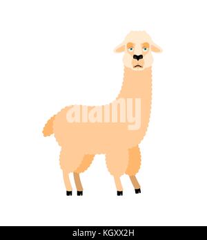 Lama alpaca triste. animale emoji dolorosi. illustrazione vettoriale Illustrazione Vettoriale