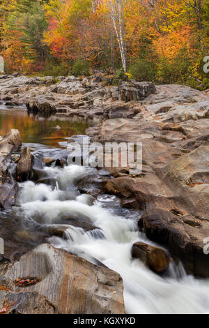 Coo Canyon in caduta, Maine Foto Stock