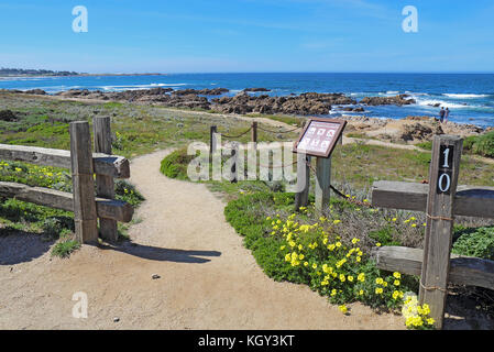 Pacific Grove, California - 17 marzo 2017: passerella, recinzione, segno e inizio della primavera di fiori di campo con persone, surf e rocce dello sfondo del parco Foto Stock