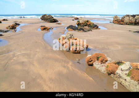 Bude,città costiera sulla North Devon e Cornwall Border grande luogo di vacanza per tutte le età. Foto Stock