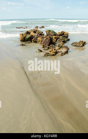 Bude,città costiera sulla North Devon e Cornwall Border grande luogo di vacanza per tutte le età. Foto Stock