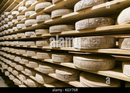 Formaggio italiano cantina nel maso di montagna Foto Stock