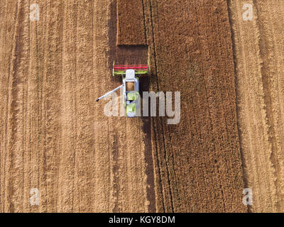 Vista aerea sul funzionamento della mietitrebbia sul grande campo di grano Foto Stock