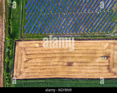 Vista aerea sul funzionamento della mietitrebbia sul grande campo di grano Foto Stock