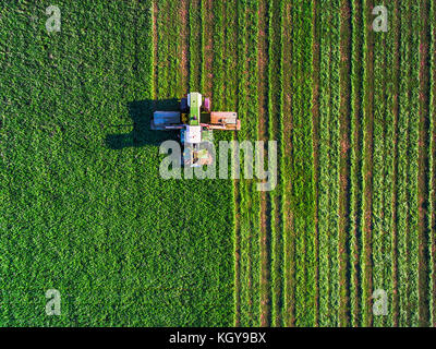 Il trattore rasaerba campo verde e bkue sky con le nuvole Foto Stock