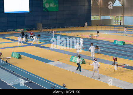 Dublino, Irlanda. 11 Nov 2017. Irish Open con satellite World Cup - il credito epee maschile: Fabrice Jolivet/Alamy Live News Foto Stock