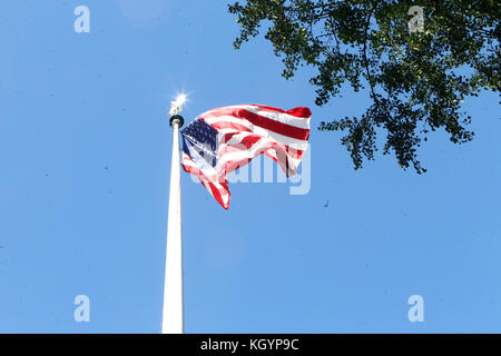 New York, NY, Stati Uniti. 11th novembre 2017. Atomosfera durante la Veterans Day Parade 2017 che si tiene lungo la 5th Avenue a New York City. Credito: Mpi43/Media Punch/Alamy Live News Foto Stock