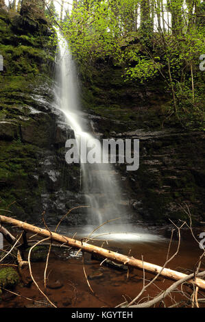 Grande Cascata del Nant bwrefwr (ca. 30 piedi). Foto Stock