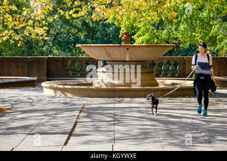 Parco cittadino, giovane donna che cammina un cane nero alla fontana Meridian Hill Park, Columbia Heights, Washington, D.C., Stati Uniti d'America, USA. Foto Stock