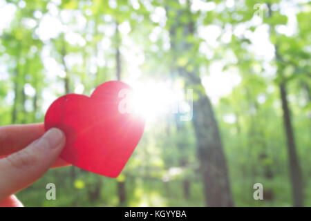 Mano che tiene il cuore su sfondo di foresta. blur. amore al concetto natuer Foto Stock