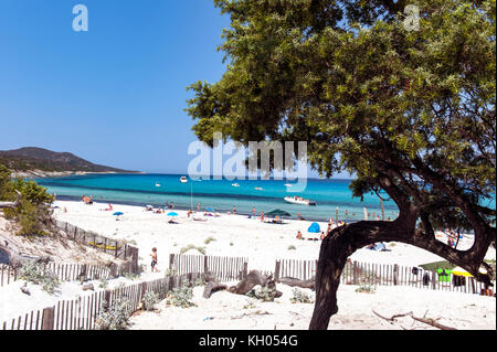 Europa, Francia, Corsica, alta Corsica (2B). Deserto Agriates. Saleccia. La spiaggia di sabbia bianca. Foto Stock