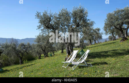 Patio vuoto sedie seduta sul prato nel tardo pomeriggio di sole Foto Stock