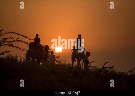 Camminare al sole, Camel Fair, Pushkar, Rajasthan, India Foto Stock