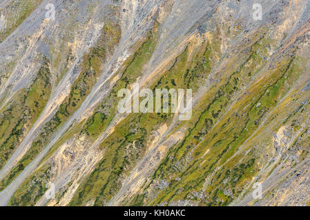 Luminoso astratto bello sfondo naturale del pendio montano con fessura, astragalo e vegetazione rada Foto Stock