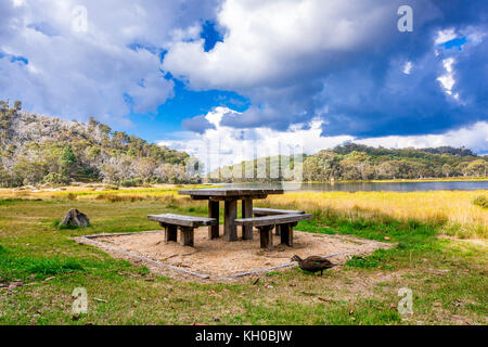 Area picnic in riva al lago di Catania in Mount Buffalo, Victoria, Australia Foto Stock