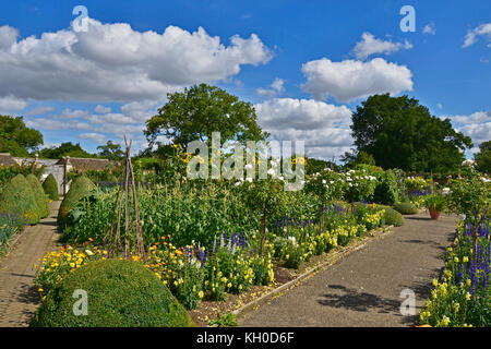 Un grande orto con piantando mescolato di ortaggi e fiori Foto Stock