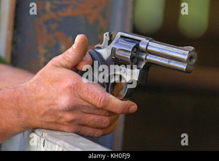 Smith & Wesson .357 revolver Magnum essendo sparati da un slaughterman macellazione di vacche su un Devon farm. Foto Stock