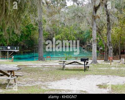 Gilchrist Blue Springs State Park, lungo il Santa Fe River, Gilchrist County, Florida, Stati Uniti d'America Foto Stock