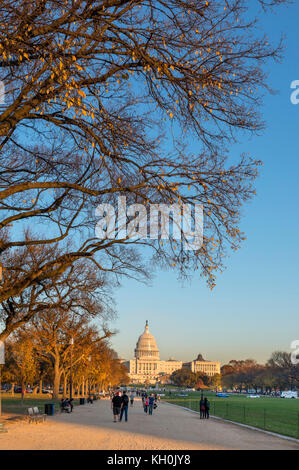 Il National Mall nel tardo pomeriggio, guardando verso il Campidoglio US edificio, Washington DC, Stati Uniti d'America Foto Stock