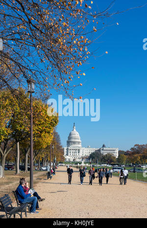 Il National Mall guardando verso il Campidoglio US edificio, Washington DC, Stati Uniti d'America Foto Stock