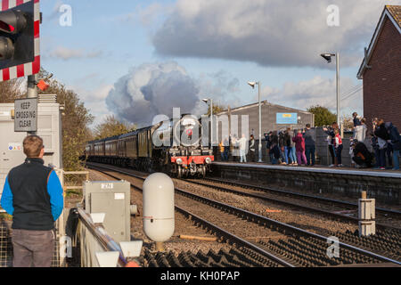 Spooner stazione di Riga, UK. Xi Nov, 2017. Il Flying Scotsman sul percorso da Norwich a Ely passando attraverso Spooner fila di attraversamento della stazione Credito: Kevin snelling/Alamy Live News Foto Stock