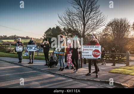 Broad Oak, Heathfield, East Sussex, Regno Unito. 13th novembre 2017. I manifestanti di salvataggio del Sussex Animal si riuniscono all'ingresso della Tottingworth Farm Abattoir. Foto Stock