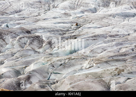 Grande ghiacciaio di Aletsch, SVIZZERA: dettaglio delle crepe profonde o crepacci su il più lungo ghiacciaio d'Europa. Foto Stock