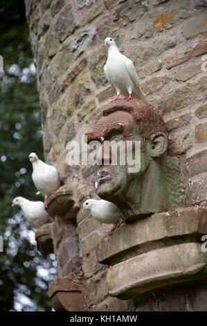 Westonbury Mill, Pembridge, Herefordshire con proprietari Sally e Richard PIM. Foto Stock