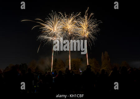 Fuochi d'artificio, Milton Keynes, Regno Unito Foto Stock