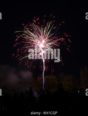Fuochi d'artificio, Milton Keynes, Regno Unito Foto Stock
