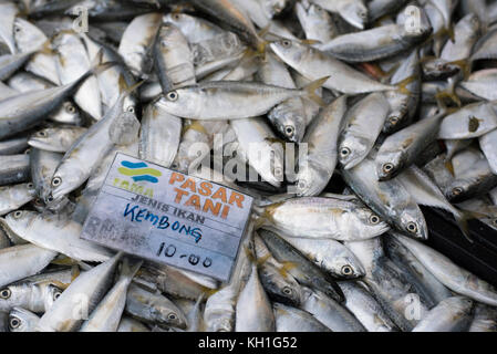 Kelana jaya,Petaling Jaya,Selangor, Malaysia-11th novembre 2017 : pila di sgombro in vendita con prezzo di etichetta al mercato dei prodotti freschi (pasar tani fama) Foto Stock