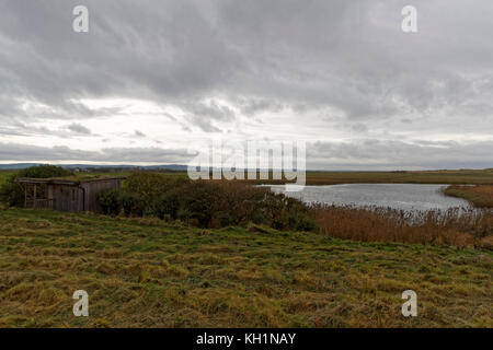 Il Lough & Bird nascondere sull Isola Santa - parte del Lindisfarne Riserva Naturale Nazionale & sentiero natura Foto Stock