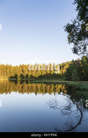 Queens Loch a Aboyne sulla Royal Deeside in Scozia. Foto Stock