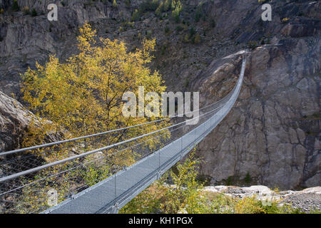 RIEDERALP, Svizzera - sept. 23, 2017: vista sospeso ponte sospeso sopra il fiume di Massa nelle montagne vicino il grande ghiacciaio di Aletsch. Foto Stock