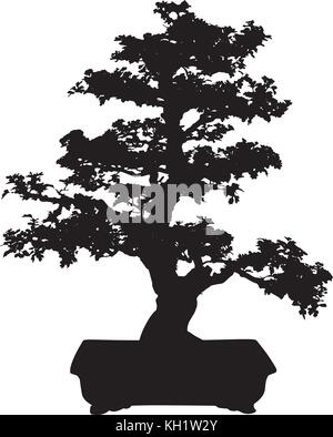 Bonsai di pino vettore ad albero Illustrazione Vettoriale