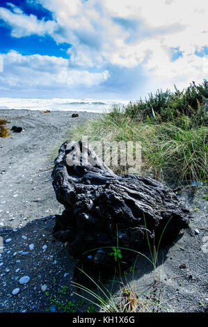 Grigio spiaggia rocciosa in okarito lungo la strada tra il ghiacciaio Fox e greymouth, Isola del Sud, Nuova Zelanda Foto Stock