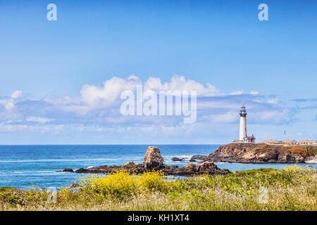 Fiori di primavera a Pigeon Point, California, USA. Foto Stock