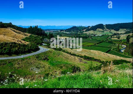 Vista sulla valle lussureggiante di kahurangi national park, Isola del Sud, Nuova Zelanda Foto Stock