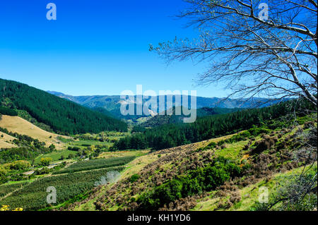 Vista sulla valle lussureggiante di kahurangi national park, Isola del Sud, Nuova Zelanda Foto Stock