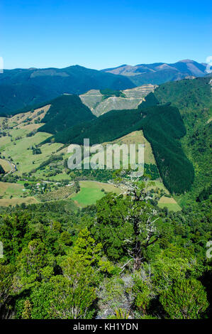 Vista sulla valle lussureggiante di kahurangi national park, Isola del Sud, Nuova Zelanda Foto Stock