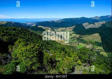 Vista sulla valle lussureggiante di kahurangi national park, Isola del Sud, Nuova Zelanda Foto Stock