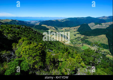 Vista sulla valle lussureggiante di kahurangi national park, Isola del Sud, Nuova Zelanda Foto Stock