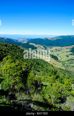 Vista sulla valle lussureggiante di kahurangi national park, Isola del Sud, Nuova Zelanda Foto Stock