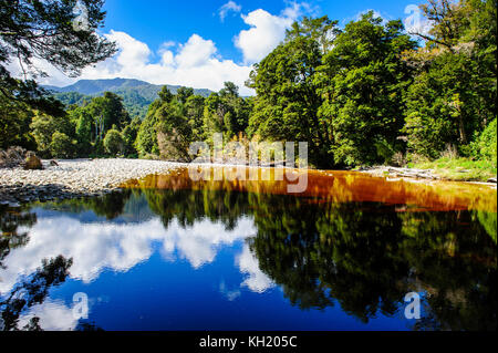 Alberi che riflette nell'acqua, specchio tarn, oparara bacino, karamea, Isola del Sud, Nuova Zelanda Foto Stock