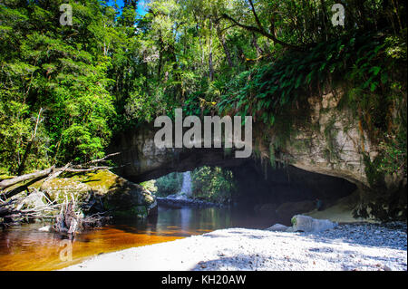 Cancello di moria arch nel bacino oparara, karamea, Isola del Sud, Nuova Zelanda Foto Stock