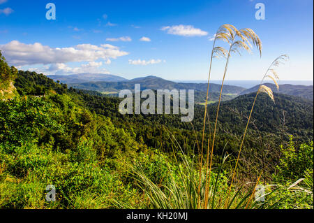 Si affacciano sulle montagne del karamea, Isola del Sud, Nuova Zelanda Foto Stock